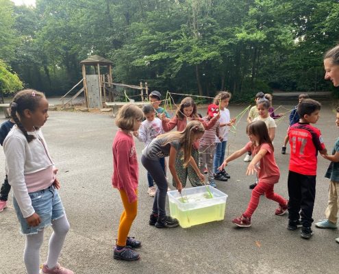 528f469c-cba2-4d37-8c13-218f009ba3ac